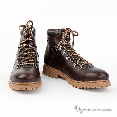 Ботинки Beppi, цвет цвет тёмно-коричневый