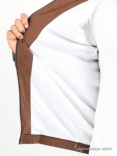 Костюм спортивный Australian мужской, цвет серый / коричневый
