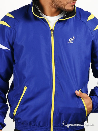 Костюм спортивный Australian мужской, цвет синий / черный / желтый