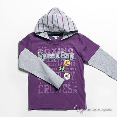 Толстовка Dodipetto, цвет цвет сиреневый / серый