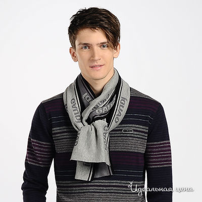 Шарф Gaudi, цвет цвет серый