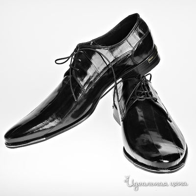 Ботинки Baldinini