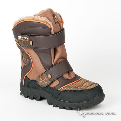 Сапоги Beppi, цвет цвет коричневый