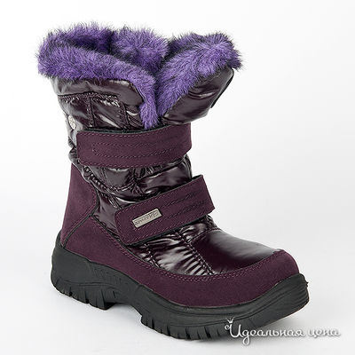 Сапоги Beppi, цвет цвет лиловый