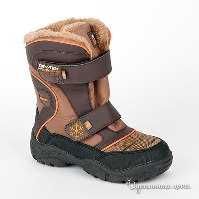 Сапоги Beppi, цвет цвет коричневый