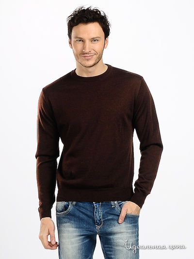 Джемпер Total Look, цвет цвет коричневый