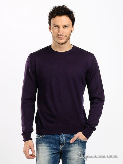 Джемпер Total Look, цвет цвет темно-фиолетовый