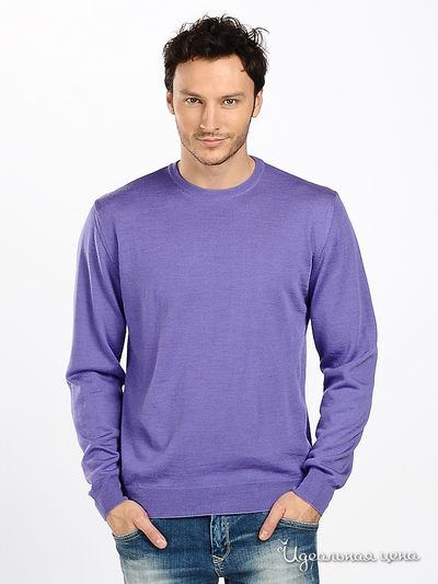 Джемпер Total Look, цвет цвет фиолетовый