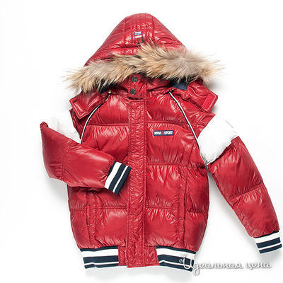 Куртка WPM, цвет цвет красный