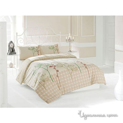 Комплект Issimo, цвет цвет кремово-коричневый