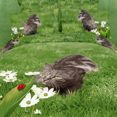 Комплект постельного белья Василиса& Aura