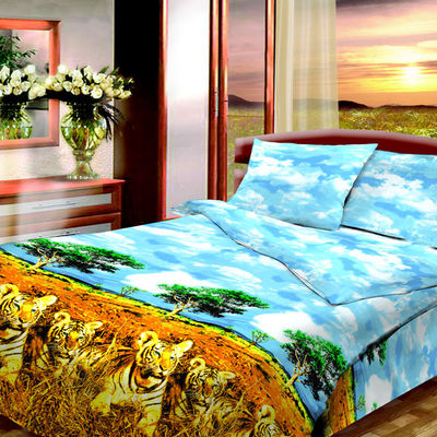 Комплект постельного белья Василиса& Aura