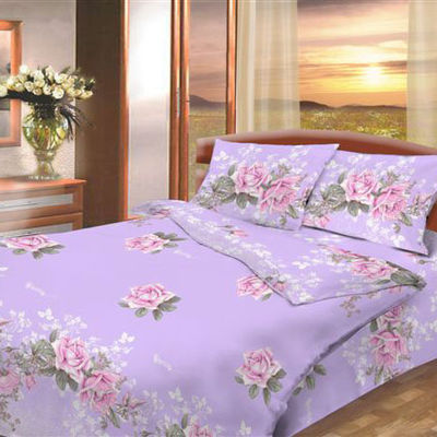 Комплект постельного белья Василиса& Aura