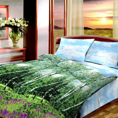 Комплект постельного белья Василиса& Aura