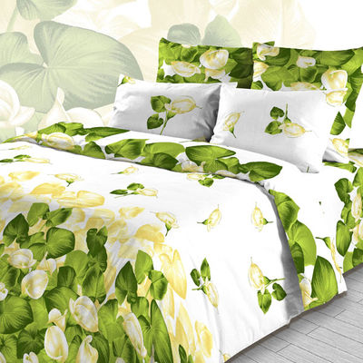 Комплект постельного белья Василиса& Aura