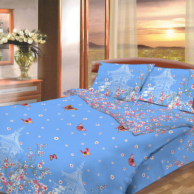 Комплект постельного белья Василиса& Aura