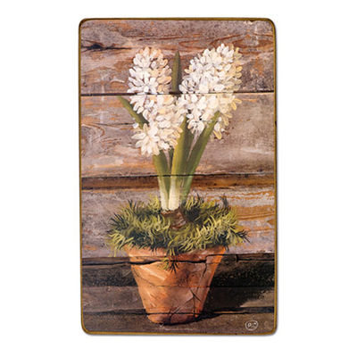 Гиацинты DekorToskana