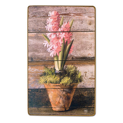 Гиацинты DekorToskana