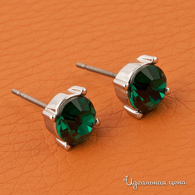 Гвоздики Crocus