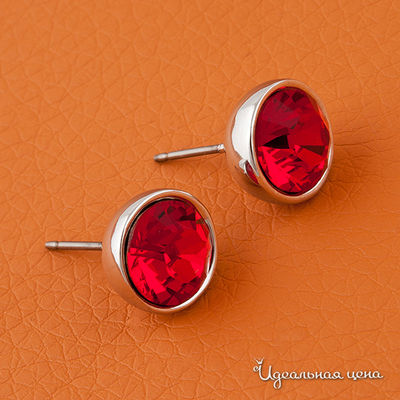 Гвоздики Crocus