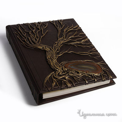 Книга Кажан