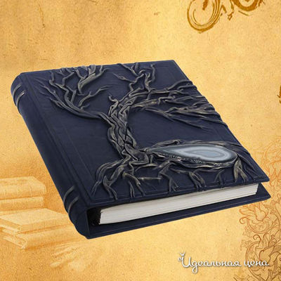 Книга Кажан, цвет цвет синий