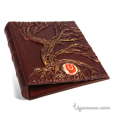 Фотоальбом Кажан