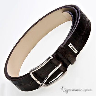 Ремень Olimp, цвет цвет темно-коричневый