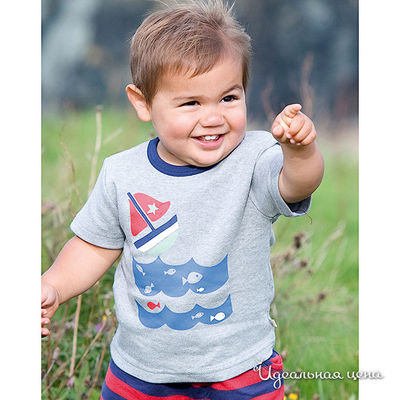 Футболка Frugi, цвет цвет серый