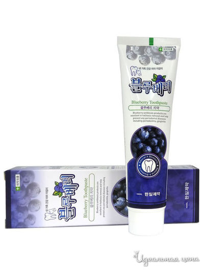 Зубная паста Hanil с экстрактом черники, 180 г, HANIL CHEMICAL