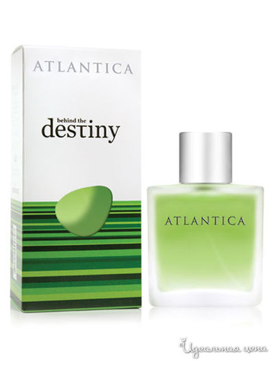 Туалетная вода Behind the destiny, 100 мл, Dilis