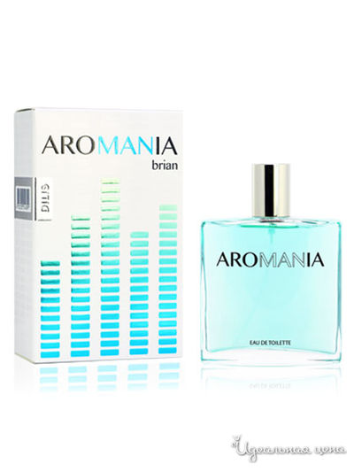 Туалетная вода Brian, 100 мл, Dilis