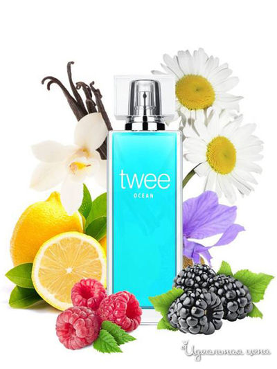 Туалетная вода Ocean, 50 мл, Dilis, цвет Мультиколор