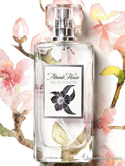 Туалетная вода Almond Flower, 50 мл, Ninel