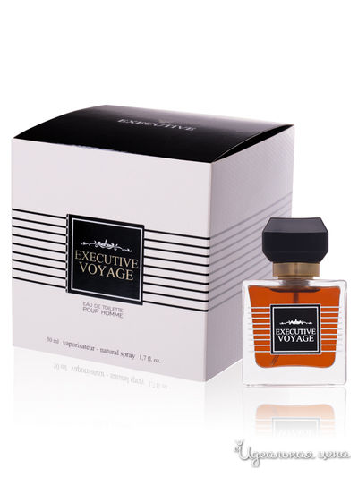 Туалетная вода Executive Voyage, 50 мл, Понти Парфюм