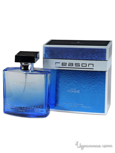 Туалетная вода Reason pour homme, 100 мл, Понти Парфюм