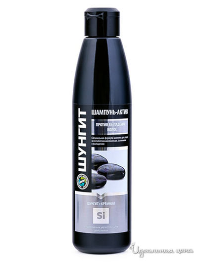 Шампунь-актив против выпадения волос Шунгит + Кремний, 330 мл, NATURA VITA