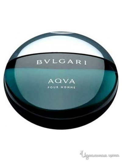 Туалетная вода AQVA, 50 мл, Bvlgari
