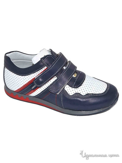 Полуботинки Black Tavern, цвет синий, белый