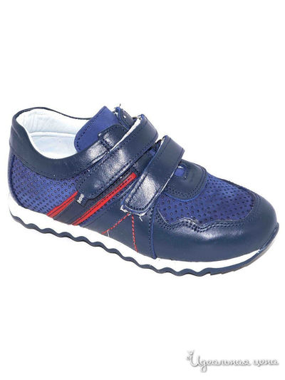 Кроссовки Black Tavern, цвет синий