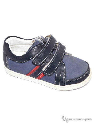 Полуботинки Black Tavern, цвет синий