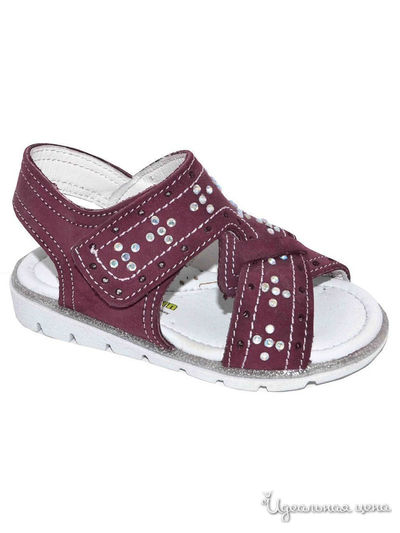 Сандалии Black Tavern, цвет фиолетовый