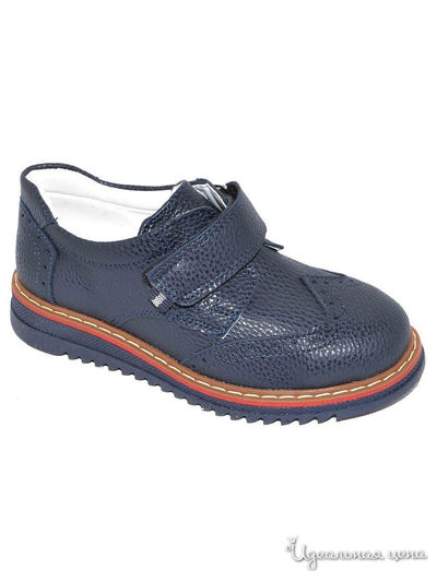 Полуботинки Black Tavern, цвет синий