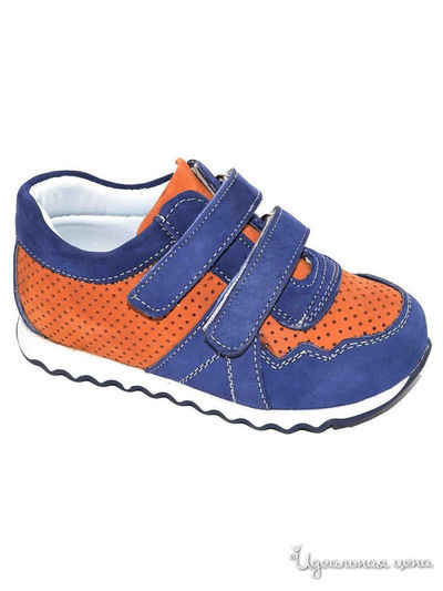 Полуботинки Black Tavern, цвет синий, бежевый