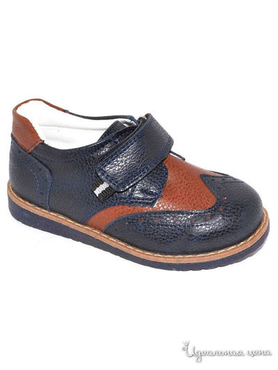 Ботинки Black Tavern, цвет синий