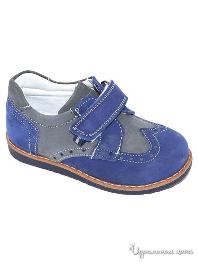 Полуботинки Black Tavern, цвет синий