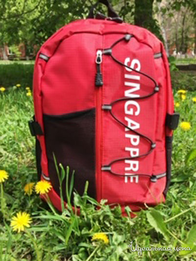 Рюкзак Trendline, цвет красный