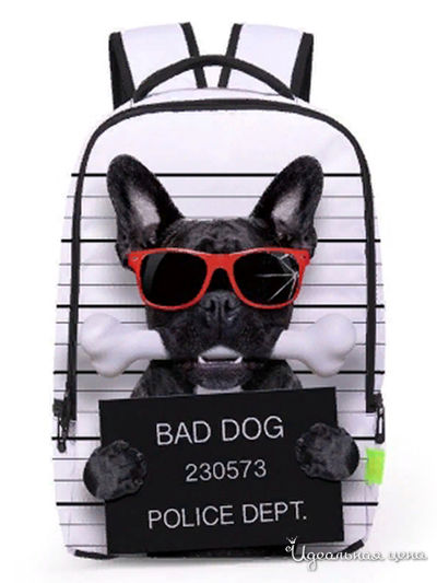 Рюкзак Trendline, цвет мультиколор