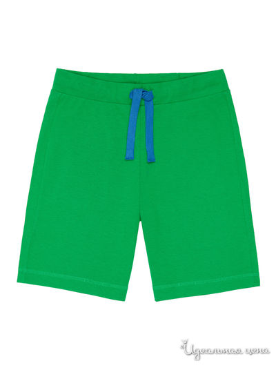 Бермуды United Colors Of Benetton, цвет зеленый