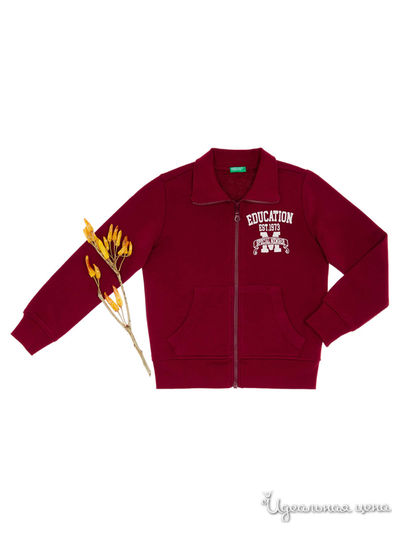 Толстовка United Colors Of Benetton, цвет бордовый